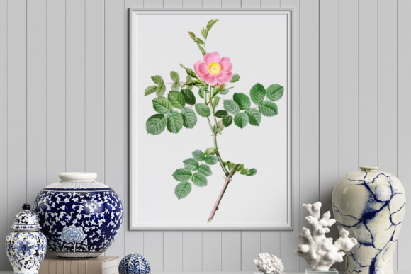 Download Vintage Rose Graphic, Wedding Design - Wedding Collection