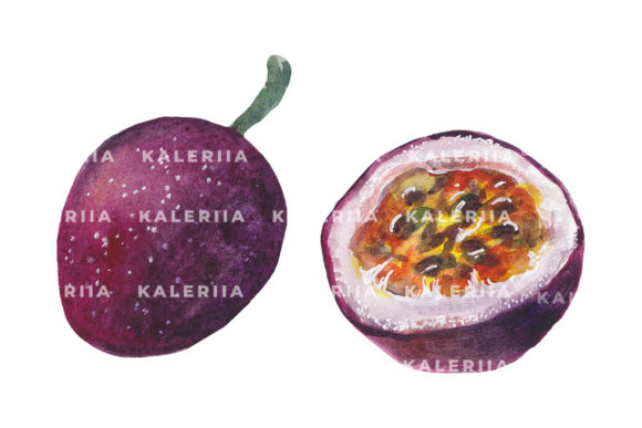 Download Passion Fruit - Watercolor Illustrations - Watercolor Collection